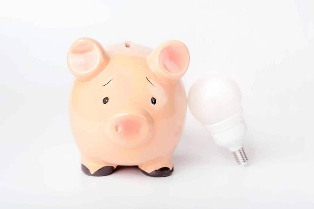 Piggy bank and save money to utility bills
